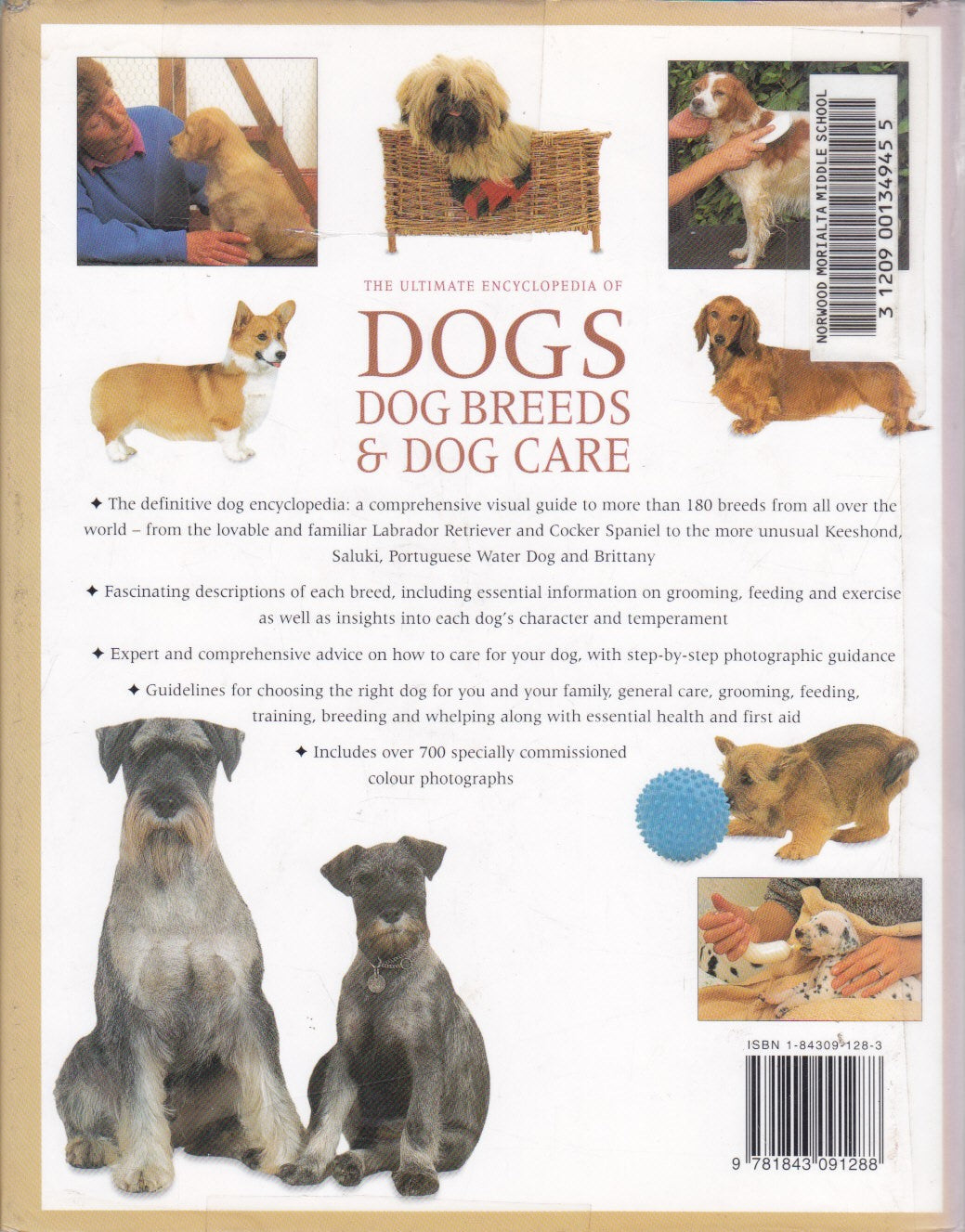 General shops information about dogs